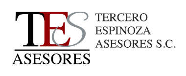 TES Asesores